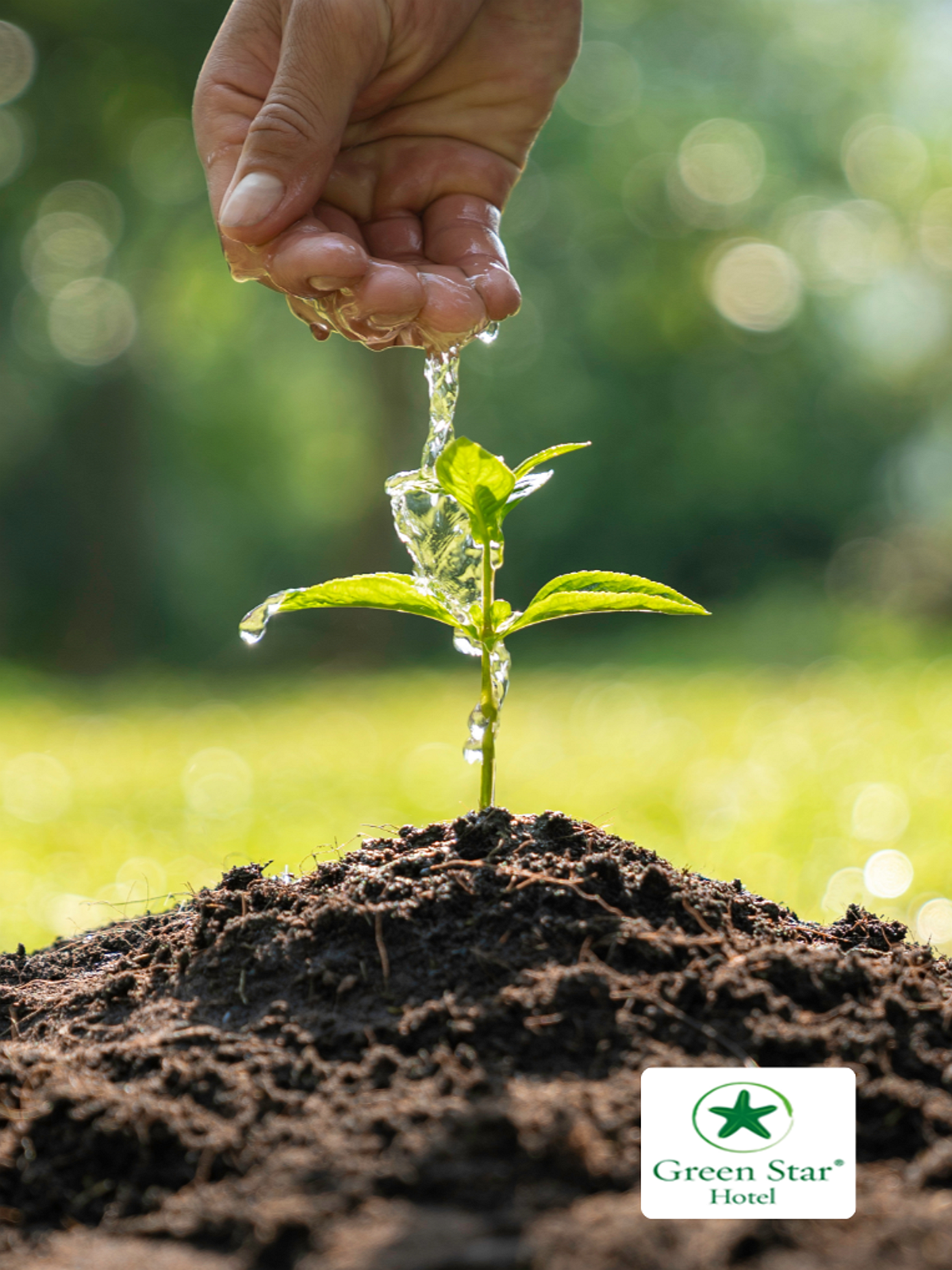 „Restaurant-Szene mit Kellner, der Bestellung aufnimmt, während Gäste am Tisch in gemütlicher Atmosphäre sitzen.“