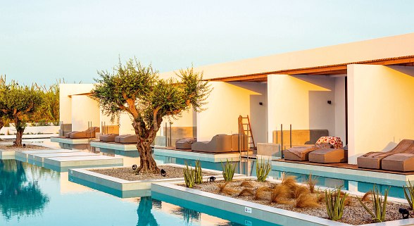 Moderne Poolvillen mit Sonnenterrassen, Olivenbäumen und Liegen am Wasser bei warmem, goldenem Abendlicht.