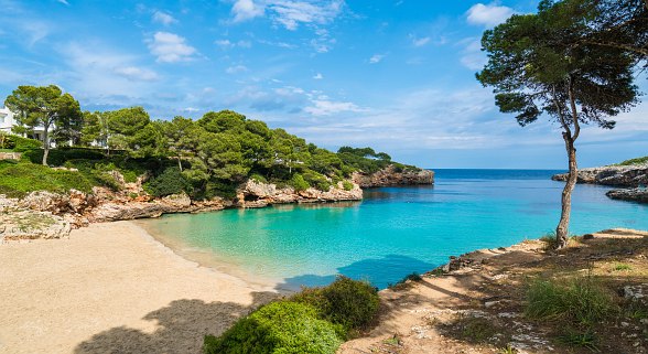 Idyllic bay with turquoise blue water, sandy beach, pine trees and rocks under a blue sky.