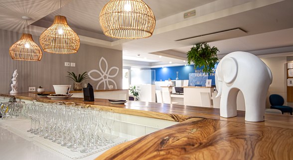 Modern hotel bar with a rustic wooden counter design, stylish wicker hanging lamps and a white elephant figure as decoration.