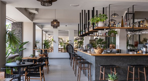 Bright hotel bar with modern wooden furniture, hanging shelves with bottles and lots of plants for a cosy atmosphere.