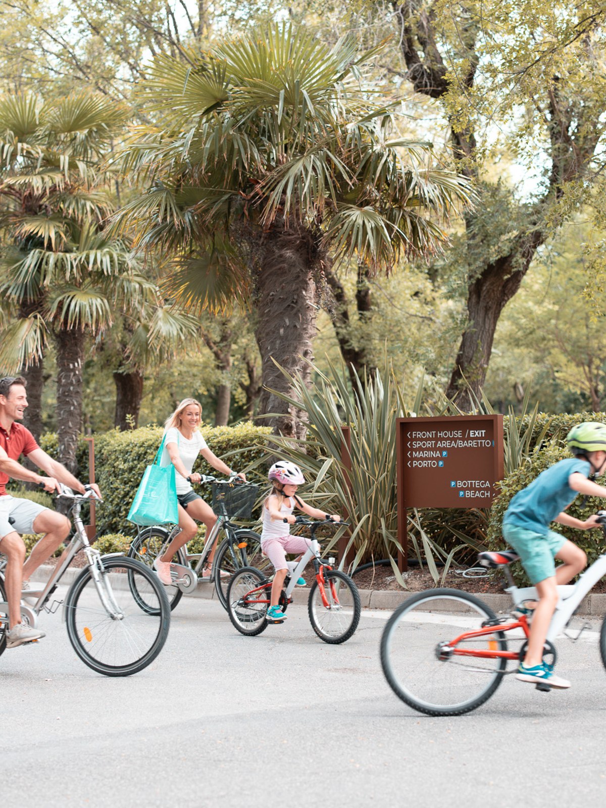 Family with two children happily cycling along a street lined with palm trees in a holiday resort - active and relaxed.